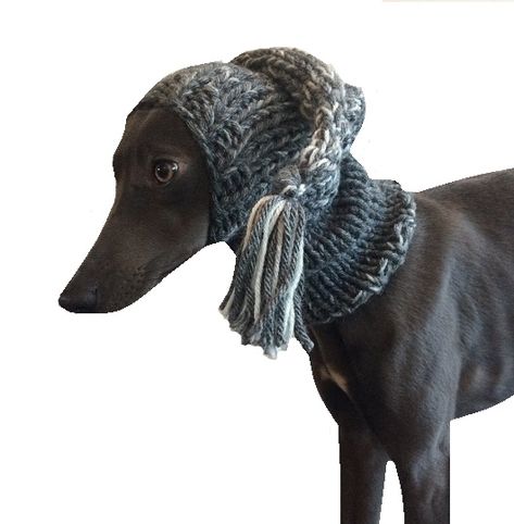 For Extra added cuteness, these are a must-have for your Whippet, Greyhound or Italian Greyhound. Our Grey Knit Hat is all your Sighthound needs Whippet Greyhound, Italian Greyhound, Knitted Hat, Whippet, Knit Hat, Greyhound, Knitted Hats, Horses, Knitting