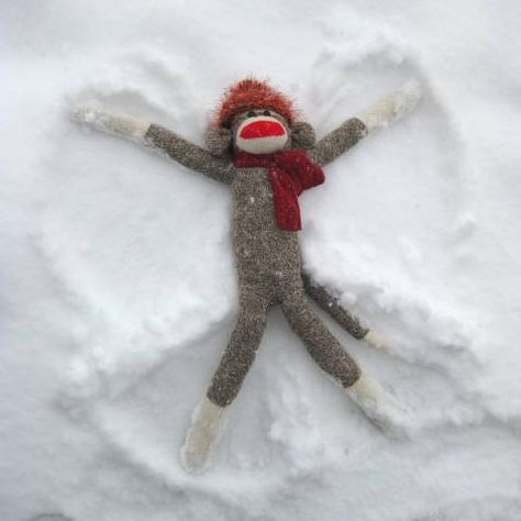 #sockmonkeyangel Snow Humor, Snow Monkey, Snow Angel, Monkey Business, Snow Angels, Winter Magic, Sock Monkey, Snowy Day, The Snow