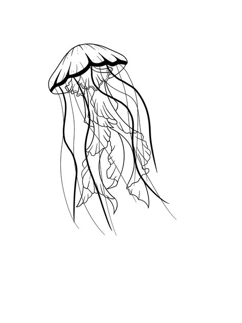 Medusa Animal Tattoo, Medusa Tattoo Animal, Jellyfish Tattoo Minimalist, Medusa Animal, Tattoo Line Work, Animal Tattoo Designs, Underwater Tattoo, Unique Jellyfish, Whimsical Princess