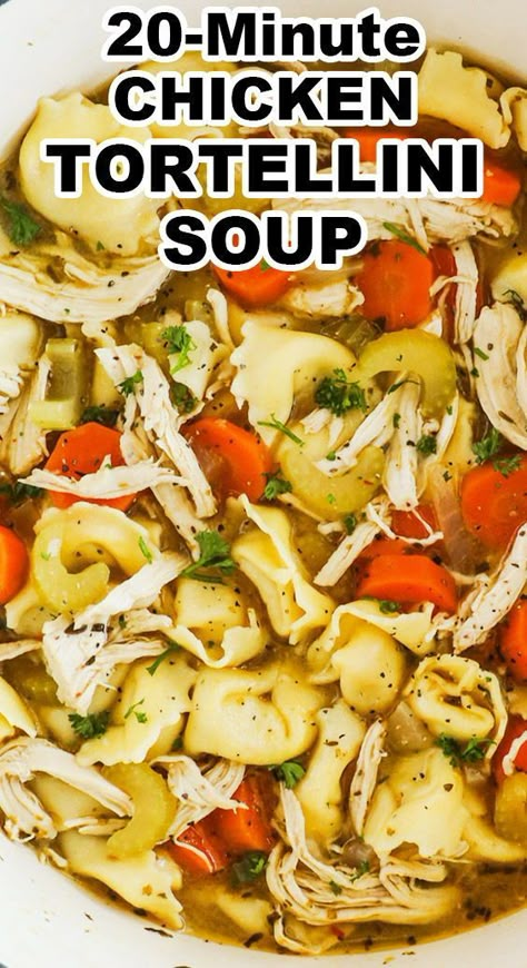 Chicken tortellini soup is so easy and satisfying using tortellini cheese pasta and shredded chicken. It can be on the table in 20 minutes! Ww Chicken Tortellini Soup, Chicken Tortini Soup, Chicken Tortellini Casserole Recipes, Chicken Tortellini Recipes Soup, Easy Chicken Tortellini Recipes, Simple Tortellini Recipes, Chicken Tortilini Soup, Cheese Tortellini Recipes Crockpot, Chicken Tortillini Soup