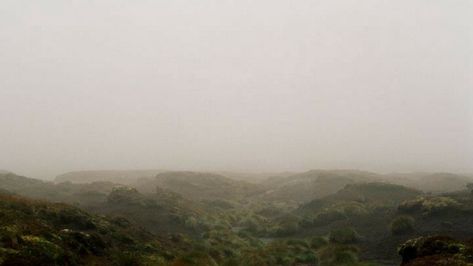 Please Stop Using This Emily Brontë Quote as if it is Romantic (It’s Not) | by Ashlee R. Phillips | Medium Wuthering Heights 2011, Andrea Arnold, Wuthering Heights Quotes, Height Quotes, Emily Bronte Quotes, Shane Meadows, 19th Century England, American Honey, Dystopian Fiction