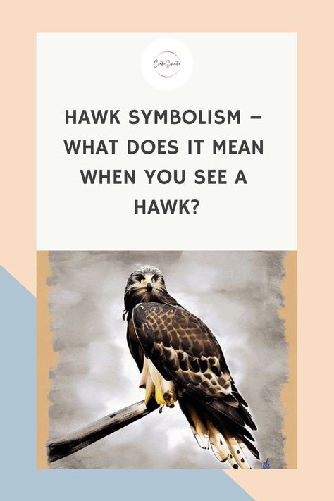 Have you ever seen a hawk in the wild? If so, what did you think? For many people, seeing a hawk is an auspicious sign. It means that the spirit realm is trying to communicate with them and offer guidance. In this blog post, we will discuss hawk symbolism and its meaning. We will also explore what it means when you see a hawk in your life. Hawks are powerful birds and they carry a lot of symbolism for humans. They can represent freedom, power, dominance, and protection. When you see a hawk, it Hawk Meaning, Hawk Symbolism, Hawk Spirit Animal, Types Of Hawks, Feather Tattoo Meaning, Hawk Feathers, Hawk Tattoo, Spirit Realm, Cooper's Hawk