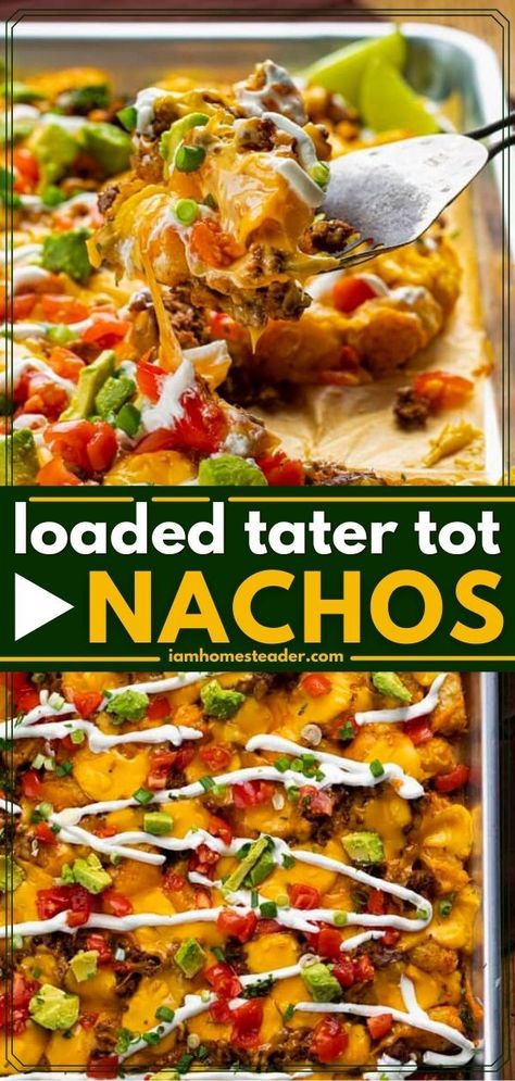 Loaded Tater Tot, Totchos Recipe, Tot Nachos, Tater Tot Nachos, Loaded Tater Tots, Easy Tater Tots, Nacho Toppings, Tater Tot Recipes, Velveeta Cheese