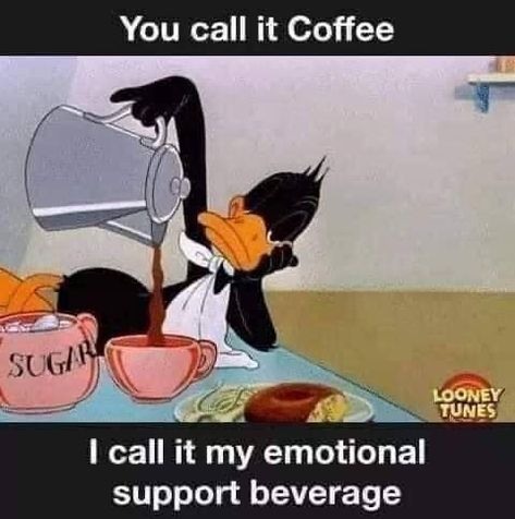 Coffee Lover Quotes, Coffee Jokes, Coffee Quotes Funny, Funny Coffee Quotes, Happy Coffee, Coffee Talk, Coffee Obsession, Coffee Is Life, Work Humor