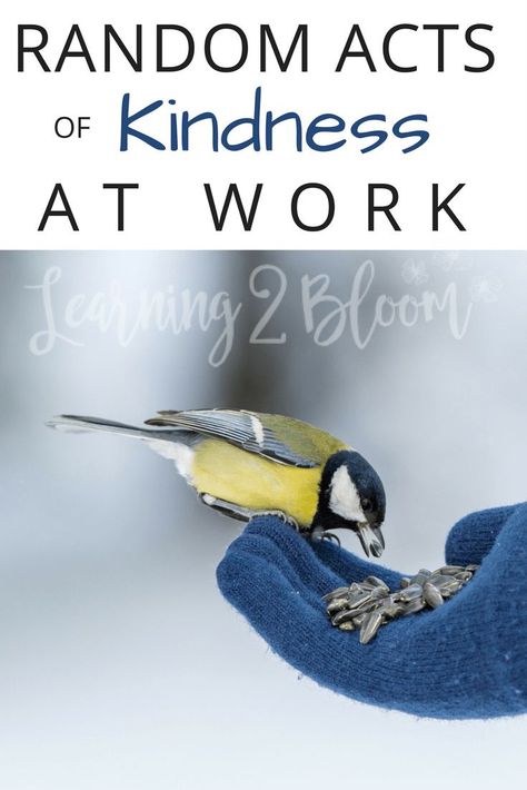 Random Acts of Kindness at work. Ideas for a positive work environment. Plus, a free compliment poster  #lighttheworld #kindnessatwork #kindness #Learning2Bloom Wellness Games, Work Environment Ideas, Kindness At Work, Single Mom Finances, Random Acts Of Kindness Ideas, Acts Of Kindness Ideas, Environment Quotes, Kindness Ideas, Single Mom Dating