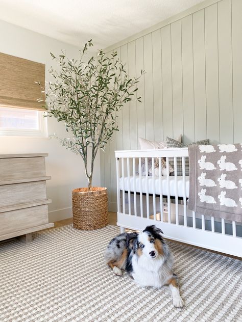 Olive Themed Nursery, Soft Green Nursery Gender Neutral, Neutral Sage Nursery, Sage Green And Grey Nursery Boy, Grey Green Nursery, Green Theme Nursery, Light Sage Nursery, Light Green Nursery Gender Neutral, Olive Green Nursery Neutral