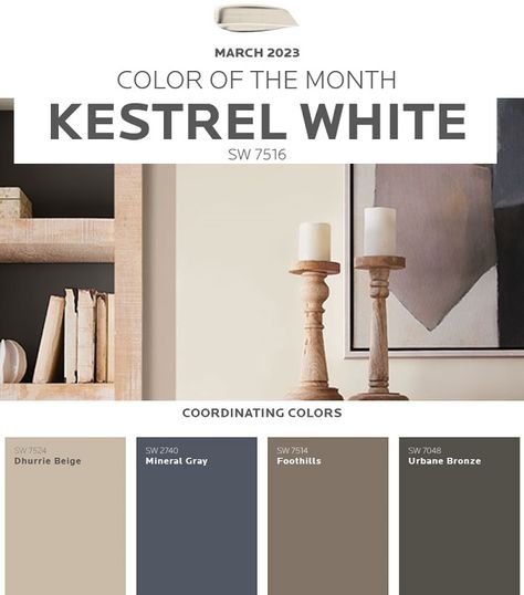 Kestrel White, Dhurrie Beige, Urbane Bronze, Mineral Gray, Beige Paint Colors, Sherwin Williams Gray, Color Of The Month, Beige Paint, Cabinet Paint Colors