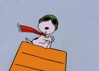 Snoopy Banner Gif, Snoopy And The Red Baron, Red Baron Snoopy, Snoopy Red Baron, Snoopy Gifs, Gifs Snoopy, Snoopy Videos, Snoopy Gif, The Red Baron