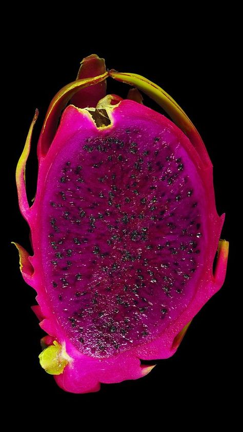 Pitaya Aesthetic, Dragons Tattoos, Purple Dragon Fruit, Dragon Fruit Varieties, Dragon Fruit Tree, Cloud Dragon, Mystic Dragon, Dragon Fruit Plant, Red Dragon Fruit