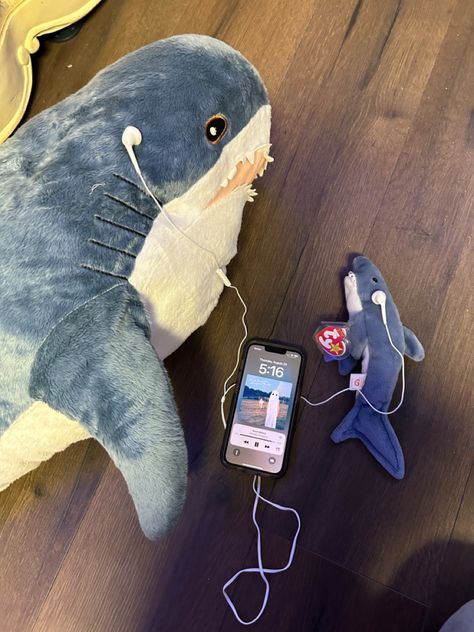 Scott street 
Sharks 
BLÅHAJ
Phoebe Bridgers 
Stranger in the alps
Music Shark With Headphones, Cute Shark Stuff, Matching Shark Pfps, Shark Matching Pfp, Blahaj Shark, Sharks Cute, Stuffed Shark, Silly Sharks, Ikea Shark