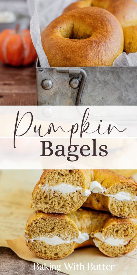 Elevate your morning routine with these Pumpkin Bagels. Full of warm spices and hearty pumpkin, they're the ideal companion to your cup of coffee. Pumpkin Spice Bagel Recipe, Easy Brioche Bread Recipe, Pumpkin Bagel Recipe, Brioche Bread Recipe, Pumpkin Bagels, Cinnamon Raisin Bagel, Homemade Pumpkin Puree, Homemade Bagels, Brioche Bread