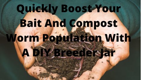 Homemade Plant Fertilizer, Worm Beds, Worm Farming, Red Wigglers, Plant Fertilizer, Shade Grass, Red Worms, Vegetable Scraps, Chicken Tractors