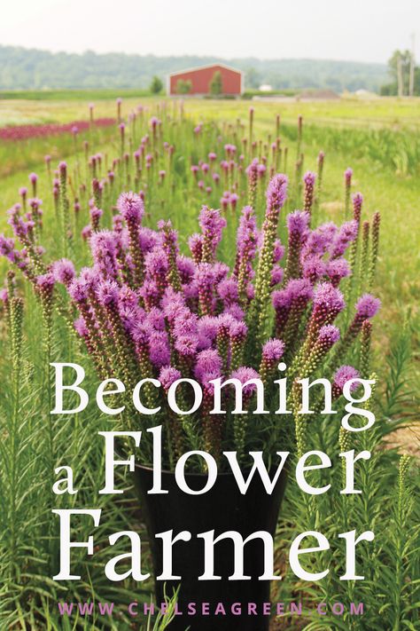 How To Have A Flower Farm, Homestead Flower Garden, How To Start Flower Garden, How To Become A Flower Farmer, Flower Farm For Beginners, Farm Flower Garden, Spring Cut Flowers, Start A Flower Farm, Flower Farming Layout