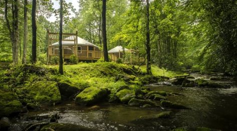 Take a look at the following yurt tucked next to a babbling stream and see how this glamping experience, in particular, promises to be nothing short of pure magic. Luxury Yurt, North Carolina Lakes, Yurt Camping, Lake Vacation, Romantic Retreat, Mountain Getaway, Luxury Camping, Summer Destinations, Luxury Rentals