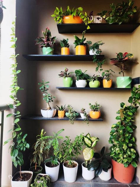 Plant Shelves Outdoor, Balcony Decoration Ideas, Balcony Planters, Balcony Decoration, Balcony Plants, Plants Decor, Small Balcony Decor, House Plants Decor, Urban Living