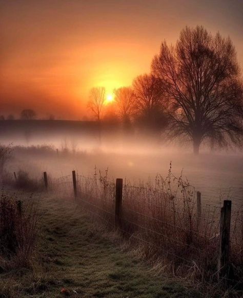 Misty Dawn, William Turner, Gorgeous Sunset, Autumn Painting, Natural Life, Landscape Photos, Nature Travel, Beautiful Photography, Sunrise Sunset