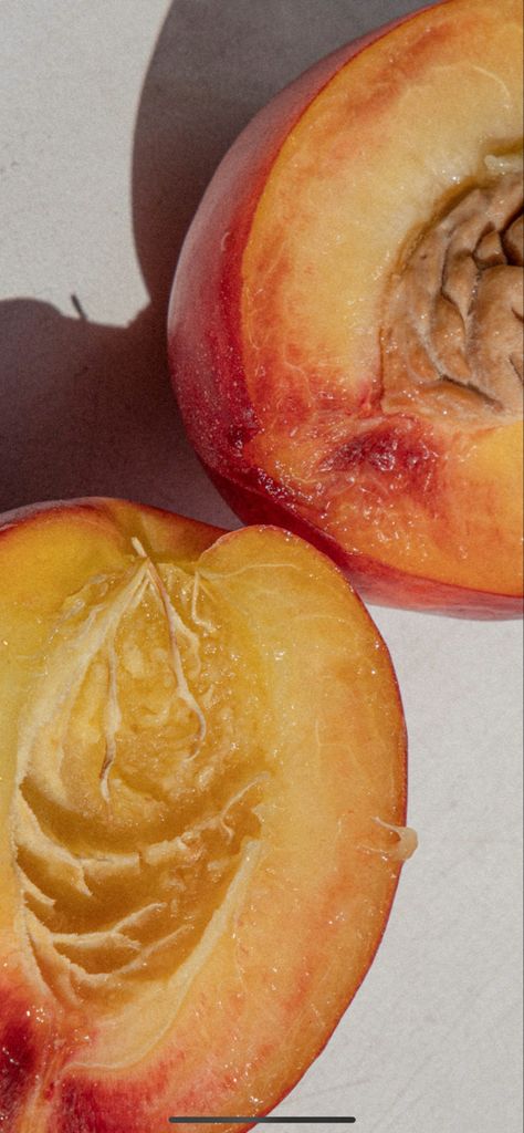 #peaches #peach #peachaesthetic #summer #summervibes Peach Editorial, Peach Color Aesthetic, Peaches Aesthetic, Apricot Trees, Leo Aesthetic, Aesthetic Peach, Apricot Tree, Peach Pit, December 3rd