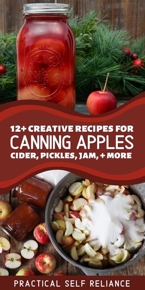 Apple Recipes Savory, Apple Canning Recipes, Apple Recipes For Canning, Apple Canning, Preserving Apples, Recipes For Canning, Pickled Apples, Savory Apple Recipes, Canned Applesauce