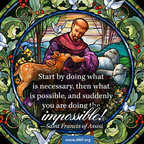 Francis Of Assisi Quotes, St Francis Assisi, Happy Feast Day, St Francis Of Assisi, Saint Quotes Catholic, Christian Quotes Prayer, Saint Quotes, Francis Of Assisi, Catholic Quotes