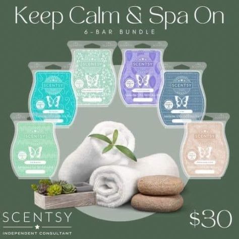 Spa Scents, Water Cucumber, Scentsy Oils, Aloe Water, Fresh Scents, Scent Warmers, Scentsy Fragrance, Scentsy Bars, Ring In The New Year