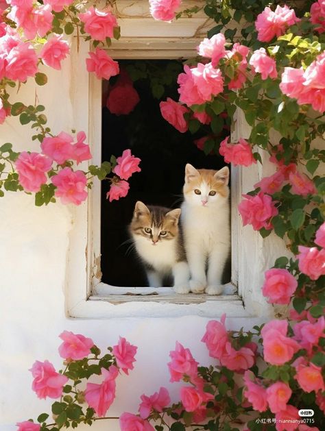 Cute Little Kittens, Cat Flowers, Cute Animals Images, Cat Aesthetic, Cute Cats And Dogs, Silly Cats, Cat Painting, Pretty Cats, Beautiful Cats