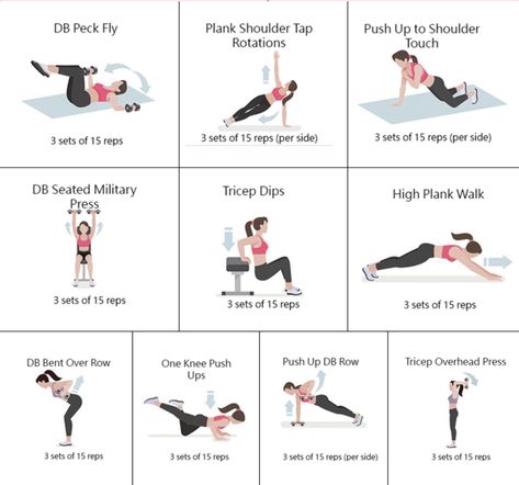 Shoulder Tap, Plank Shoulder Taps, High Plank, Chest Exercises, Tricep Dips, Health Fitness Motivation, Fitness Tips, Push Up, Fitness Motivation