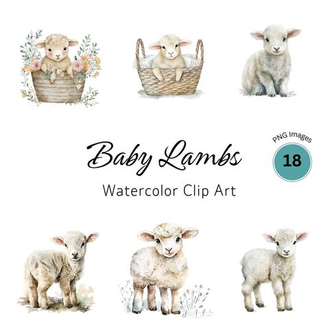 Farm Animal Frenzy: Illustrated Edition Lamb Clipart, Cute Animals Clipart, Sheep Nursery, Lamb Nursery, Creative Clips Clipart, Baby Sheep, Animals Farm, Baby Lamb, Cute Animal Clipart