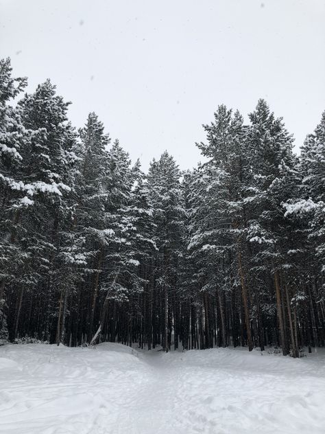 #atmosphere #winter #forest #russia #ukraine #snow Twilight Snow Aesthetic, Russia Snow Aesthetic, Varian Aesthetic, Russia Forest, Winter Court, Red Snow, Winter Songs, Snow Girl, Rainer Maria Rilke