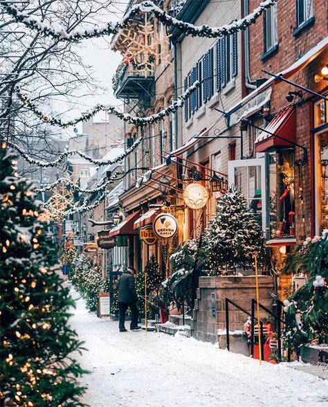 Sherbrooke Quebec, December Wallpaper, Christmas Wallpaper Free, Christmas Wallpaper Backgrounds, Christmas Scenery, Christmas Town, Winter Scenery, Image Fun, Quebec City