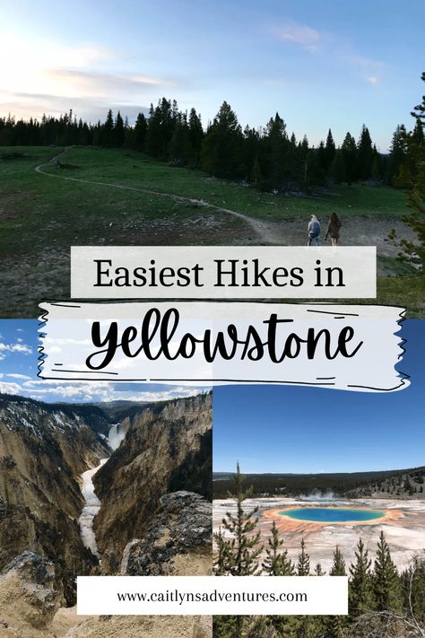 Easy Hikes in Yellowstone Yellowstone Hikes, Bear Spray, Old Faithful, Amazing Views, Gorgeous View, Round Trip, To Miss, Great Places, Grand Canyon