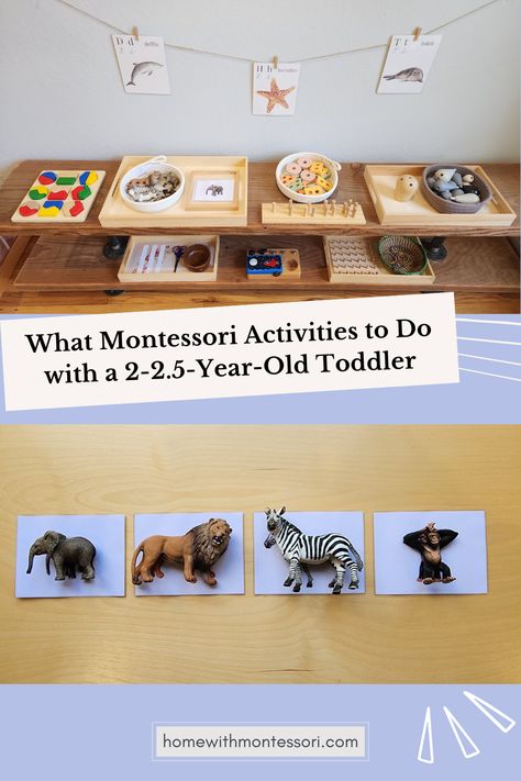 Terrible twos? Let me tell you; there's no such thing. It's just your two-year-old's ego developing rapidly. Two-year-olds crave even more independence than before. And your toddler might be letting you know this with undesired behavior such as tantrums. Your child's interests might also be coming to the surface more. Try to follow his interests when setting up work on the shelf. Two Years Old Activities, Montessori Crafts, Montessori Science, Toddler Curriculum, Practical Life Activities, Montessori Playroom, Homeschool Preschool Activities, Montessori Homeschool, Montessori Toddler Activities