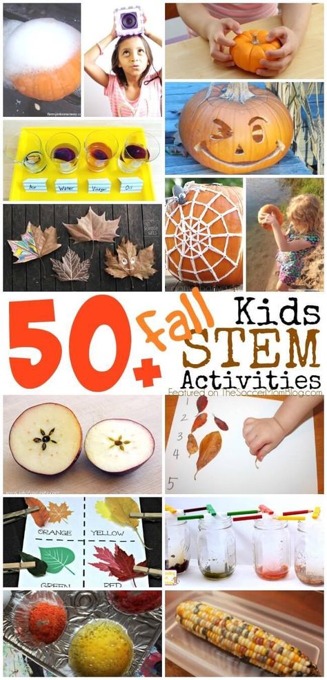 Fall Stem Activities For Kids, Fall Stem Activities, Stem Activities Kindergarten, Stem Activities For Kids, Stem Activities Preschool, Kindergarten Stem, Fall Science, Preschool Stem, Fall Lessons