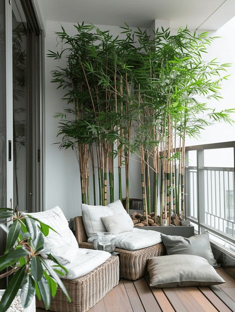 Zen Balcony Ideas, Bamboo Balcony, Bamboo For Privacy, Apartment Balcony Privacy Ideas, Minimalistic Balcony, Balcony Privacy Ideas, Potted Bamboo, Boho Balcony, Interior Balcony