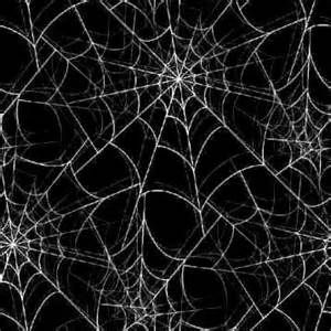 Spider Aesthetic, Goth Spider, Black And White Spider, Goth Gifts, Y2k Icons, How To Impress, Spider Art, 2000s Grunge, Y2k Wallpaper