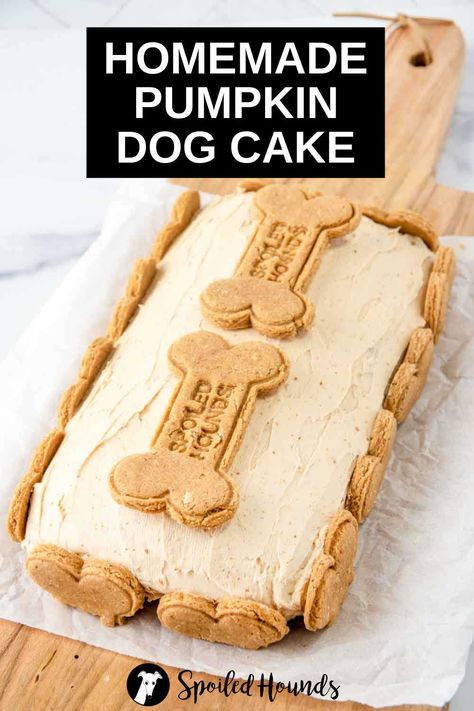 This tasty Pumpkin Dog Cake is made with peanut butter and Greek yogurt and covered with peanut butter cream cheese frosting. Get the easy recipe and find out how to make the best pumpkin cake for dogs with healthy and simple ingredients. This homemade pumpkin peanut butter cake is a great dog birthday cake. Perfect for dog birthday parties or to celebrate special occasions like Gotcha Day or holidays. Dog Birthday Cake Pumpkin, Pumpkin Dog Cake Recipe, Pumpkin Dog Cake, Dog Cake Recipe Pumpkin, Best Pumpkin Cake, Peanut Butter Cream Cheese Frosting, Cake For Dogs, Puppy Birthday Cakes, Peanut Butter Cream Cheese