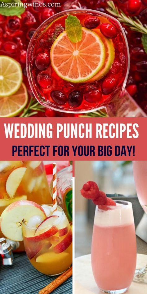 Wedding Punch Recipes | Sip in Style: Easy and Elegant Wedding Punch Recipes | Boozy Punch Recipes | Wedding season ideas | Wedding recipes you need to check out today | Sangria recipes perfect for your wedding #Punch #Wedding #WeddingSeason #WeddingRecipe #BoozyPunch #WeddingPunch Easy Wedding Punch Recipes, Wedding Shower Punch Recipes, Wedding Punch Recipes Non Alcoholic, Boozy Punch Recipes, Wedding Shower Punch, White Wine Punch, Wedding Punch Recipes, Wine Punch Recipes, Boozy Punch