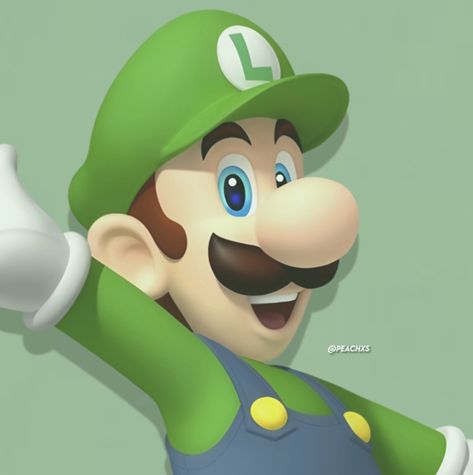 Luigi Cute, Luigi Aesthetic, Luigi Pfp, Mario Pfp, Pfp Icon Aesthetic, Mario Stuff, Mario Luigi, Reaction Pic, Mario Games