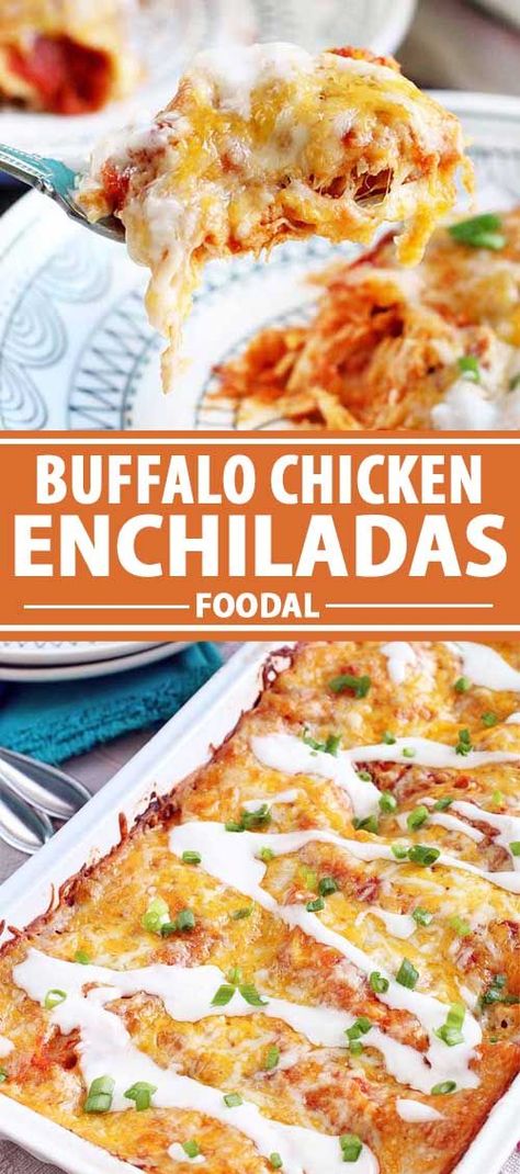 Attention Buffalo chicken fans: this one’s for you! When you just can’t get enough of the spicy combination of buttery hot sauce and juicy poultry but you’ve had your fill of wings, this flavorful entree takes center stage. Get the recipe for Buffalo chicken enchiladas now on Foodal. #buffalochicken #enchiladas #foodal Buffalo Chicken Enchiladas, Buffalo Recipe, Enchilada Recipe, Vegan Mexican Recipes, Chicken Enchilada Recipe, Ground Beef Casserole, Chicken Enchilada, South Of The Border, Enchilada Recipes