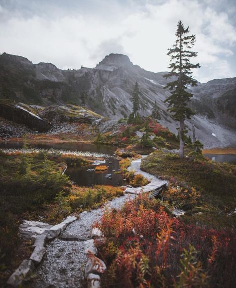 Blueberry Picking, Nature Destinations, Mt Baker, Down South, Autumn Photography, Get Outside, Pretty Places, Pilgrimage, America Travel