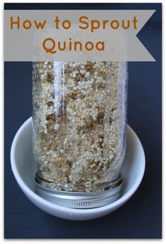 How to Sprout Quinoa - Healy Eats Real #sprout #quinoa #howtosproutquinoa #sprouts #sprouting Indonesian Food Traditional, Sprouting Quinoa, Vegetarian Quinoa, Food Vegetarian, Healthy Vegetable Recipes, Green Bean Recipes, Food Table, Culinary Skills, How To Cook Quinoa