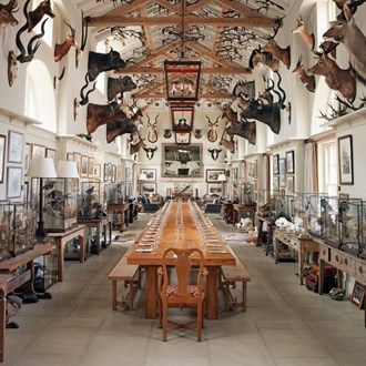 Hunting Lodge Interiors, Hunting Lodge Decor, Taxidermy Decor, Deer Antler Decor, Log Home Interiors, Deer Mounts, Hunting Room, Maximalist Interior, Hunting Decor