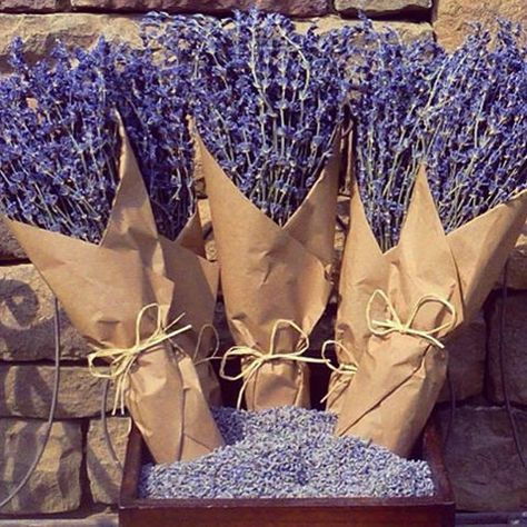 Preserved Lavender Bunches are restocked online and will be available in store this Thursday! #shoplocal #thefadedfarmhouse Dried Lavender Bunch, Preserved Boxwood, Fresh Lavender, Flower Tie, Kraft Paper Wrapping, French Lavender, Provence France, Dried Lavender, Bunch Of Flowers