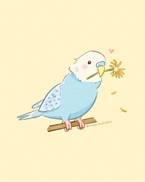 budgie bird illustration drawing Budgie Drawing Cute, Wholesome Cartoon, Budgie Wallpaper, Budgie Drawing, Baby Animal Painting, Cute Parrot, Drawing Bird, Beginner Artist, Arte Aesthetic