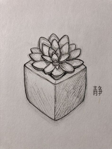 Succulents Drawing, Charcoal Drawings, Object Drawing, Easy Doodles Drawings, Easy Drawings Sketches, Arte Inspo, Doodle Art Designs, Mini Drawings, Art Drawings Sketches Creative