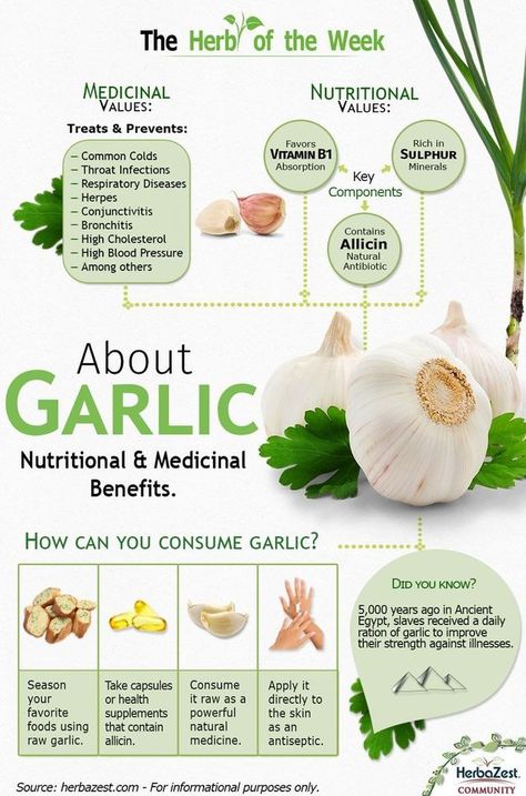 Infographic: Garlic Health Benefits Of Garlic, Garlic Health, Benefits Of Garlic, Garlic Health Benefits, Calendula Benefits, Throat Infection, Garlic Benefits, Food Benefits, Matcha Benefits