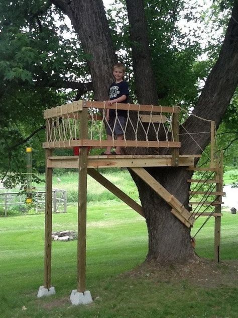 Build A Tree House, Diy Tree House, Simple Tree House, Tree House Ideas, Tree Deck, Treehouse Ideas, Beautiful Tree Houses, Tree House Plans, Tree Fort