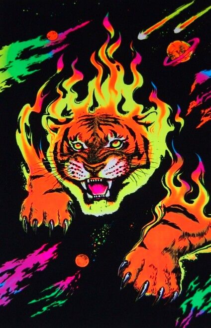 blacklight poster Angry Lion, Blacklight Posters, Lion Poster, Black Light Posters, Psychadelic Art, Posters Wall Art, Tiger Art, Lion Art, Posters Wall