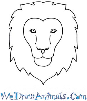 Lion Face Drawing Easy, How To Draw A Lion, Animal Face Drawing, Dua Pic, Lion Drawing Easy, Tiger Face Drawing, Lion Head Drawing, Draw Lion, Lion Drawings