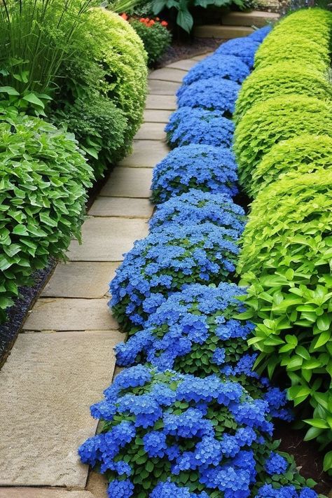 Ground Cover Front Yard, Colorful Ground Cover, Arid Garden, Best Ground Cover Plants, Plants For Full Sun, Cape Cod Landscaping, Garden Ideas Budget Backyard, Flowers That Attract Butterflies, Freezing Herbs