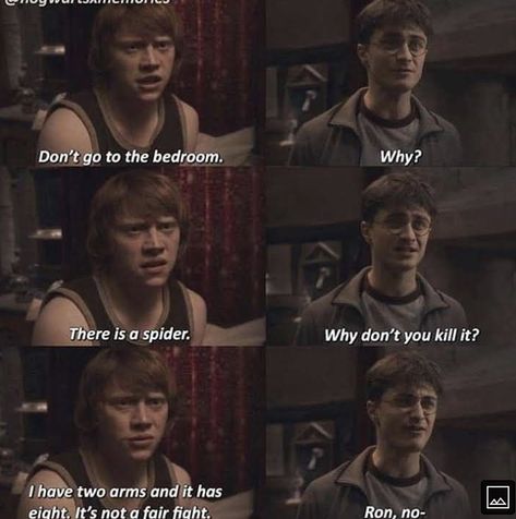 Harry Potter Quotes Funny, Citate Harry Potter, Harry Potter Parody, Glume Harry Potter, Funny Harry Potter Jokes, Harry Potter Memes Hilarious, Harry Potter Feels, Harry Potter Images, Harry Potter Comics